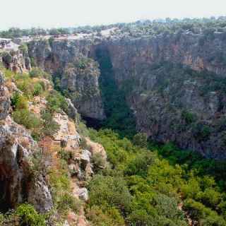 Cennet and Cehennem photo