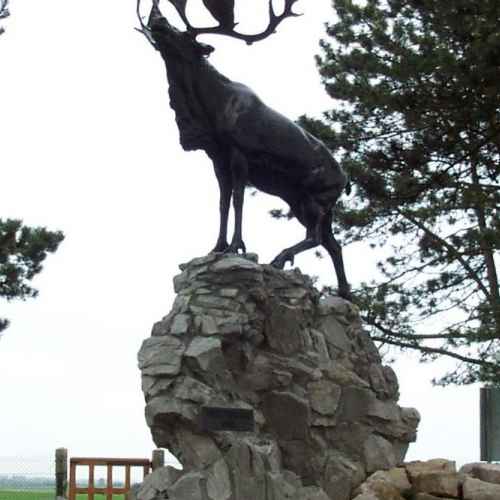 Gueudecourt Newfoundland Memorial photo