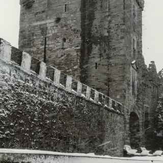 Drimnagh Castle photo