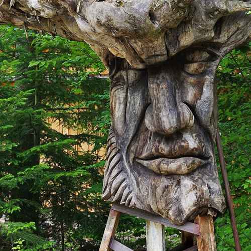 Skulpturenpfad Wald und Mensch