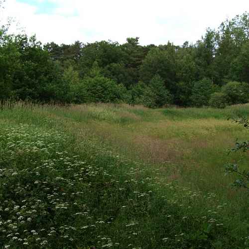 Alte Burg bei Hollenstedt photo