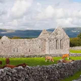 Kilmacduagh Monastic Site