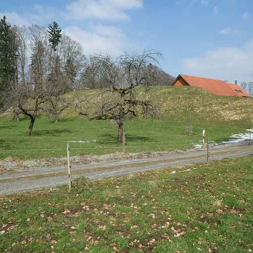 Ringgenburg photo