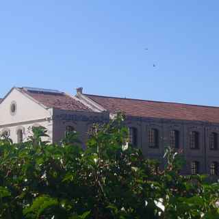 Museu de la Pell d'Igualada i Comarcal de l'Anoia