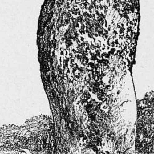 Menhir de Kerderff (A photo