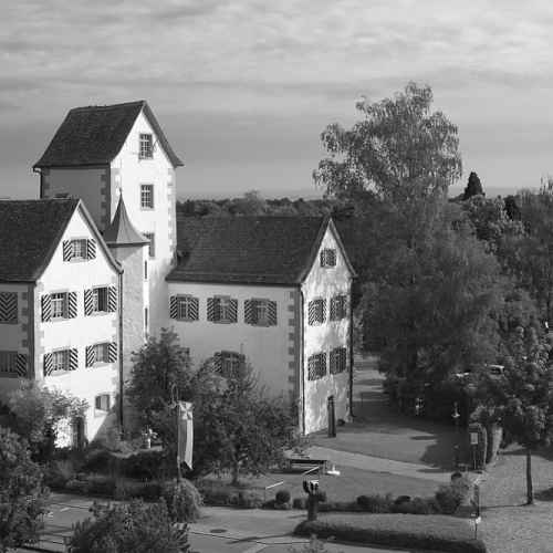 Schloss Roggwil photo