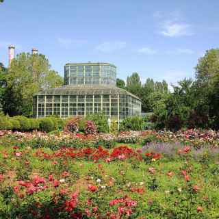 Bucharest Botanic Garden photo