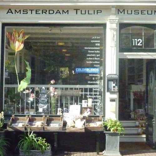 Amsterdam Tulip Museum photo
