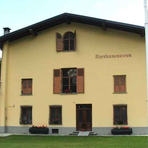 Alpenfaunamuseum photo