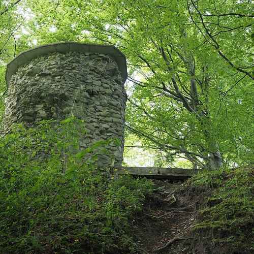 Ruine Wartenstein photo