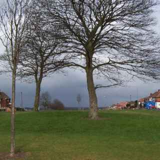 King's Standing Bowl Barrow