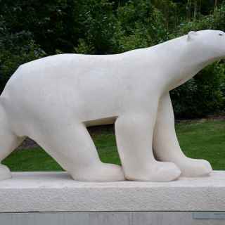 De ijsbeer