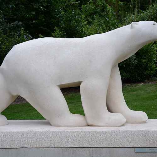De ijsbeer