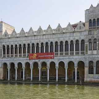 Museo di Storia Naturale di Venezia photo