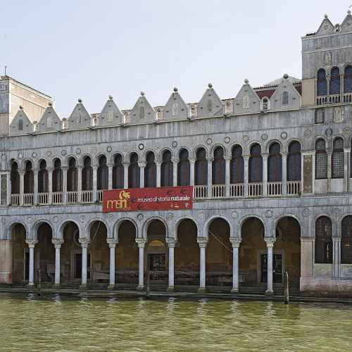 Museo di Storia Naturale di Venezia photo