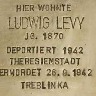 Ludwig Levy