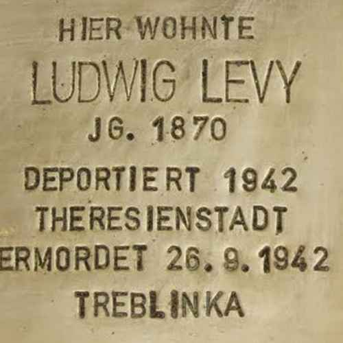 Ludwig Levy photo