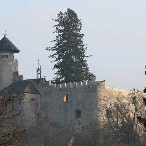 Burg Birseck photo