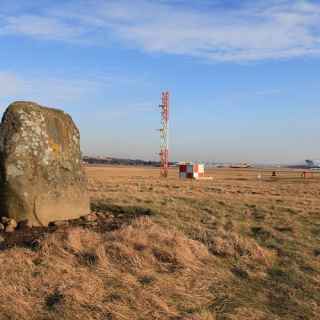 Cat Stane