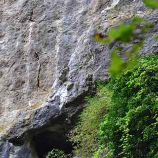 Grottes Schmerling