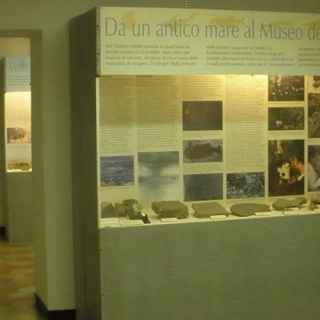 Museo civico dei fossili di Besano