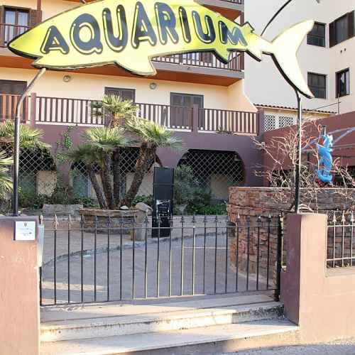 Aquarium di Alghero photo
