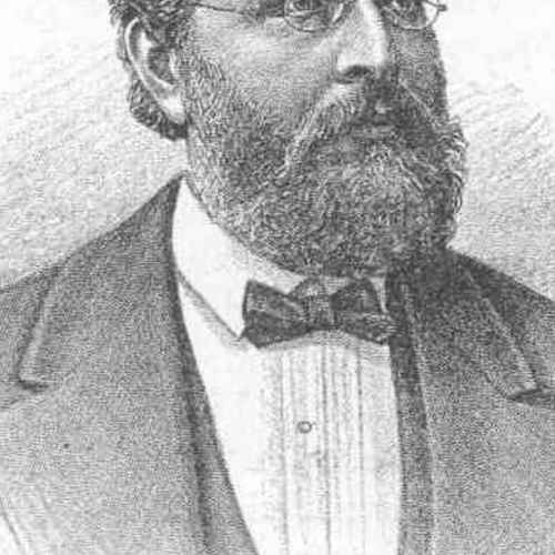 Ferdinand Ritter von Hochstetter photo