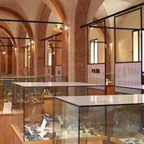 Museo archeologico di Cesena photo