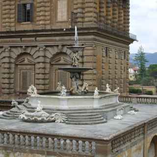 Fontana del Carciofo photo