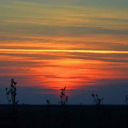 Селевењске пустаре photo