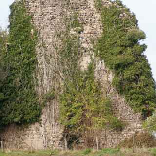 Site de la tour du Draillant