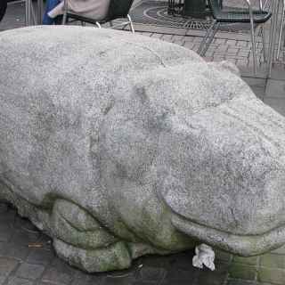 The Concrete Hippopotamus