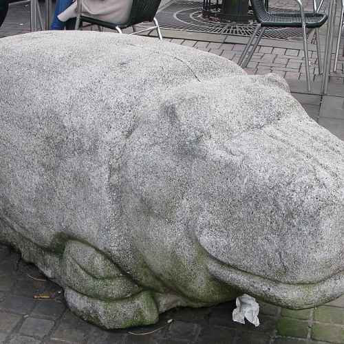 The Concrete Hippopotamus photo