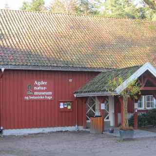 Naturmuseum og botanisk hage Universitetet i Agder photo