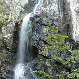 Boyana waterfall photo