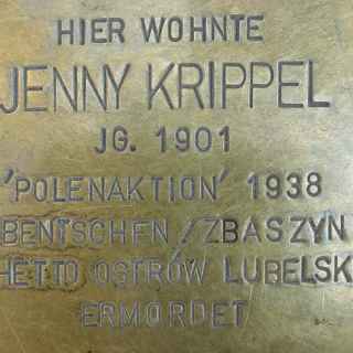Jenny Krippel