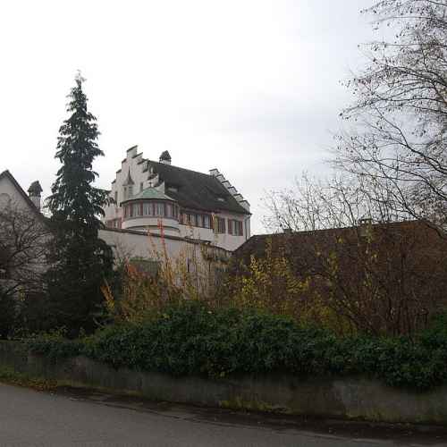 Schloss Bellikon photo