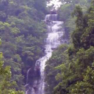 Amicalola Falls photo