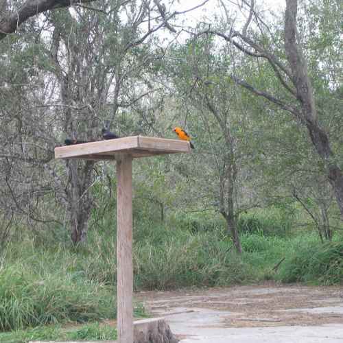 Bentsen Rio Grande Valley State Park photo