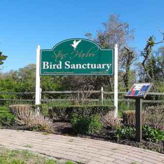 Stone Harbor Bird Sanctuary