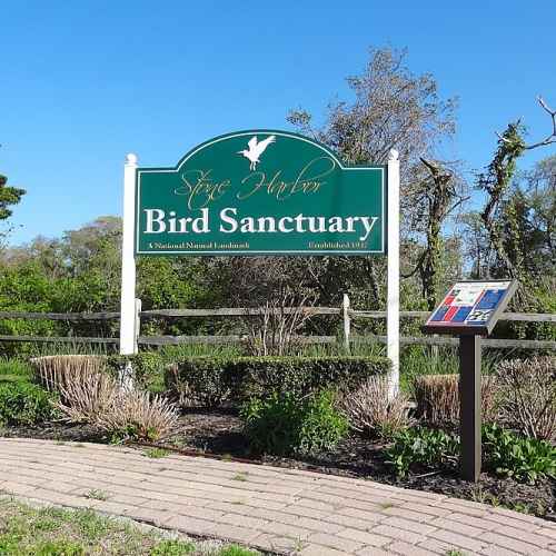 Stone Harbor Bird Sanctuary photo