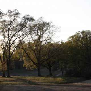 Chastain Memorial Park