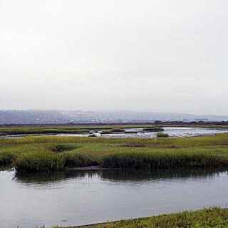 Tijuana River National Estuarine Research Reserve