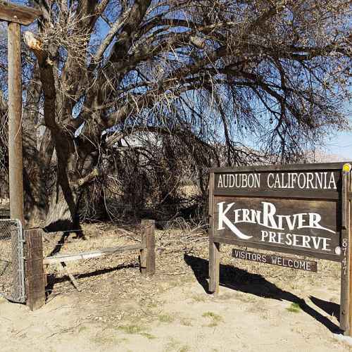 Kern River Preserve