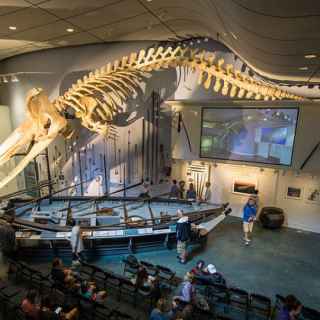 Nantucket Whaling Museum photo