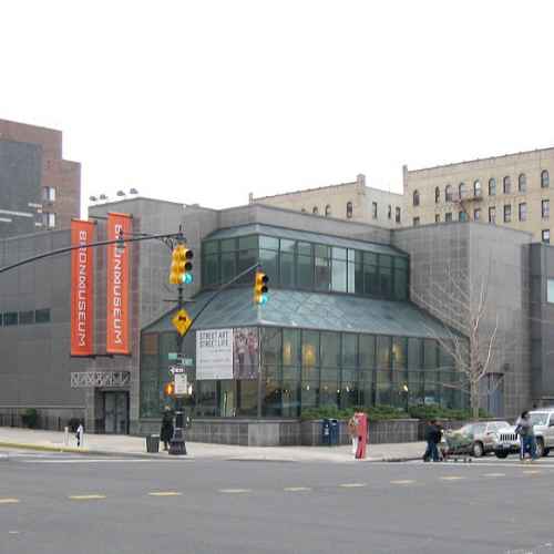 Bronx Museum of the Arts photo