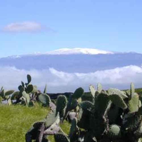 Mauna Kea photo