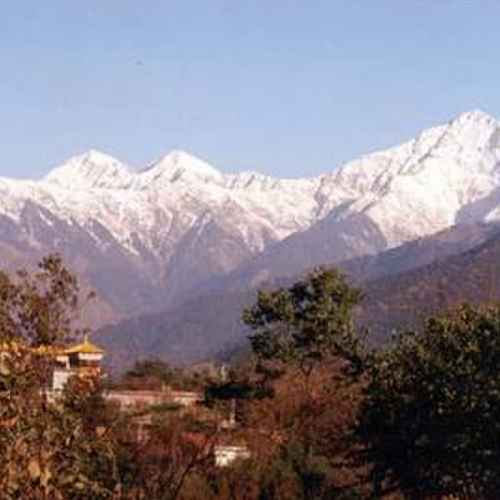 Kangra photo