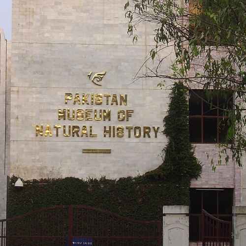 Pakistan Museum of Natural History photo
