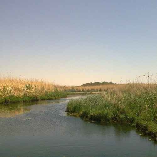 Azraq Wetland Reserve photo